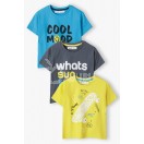 Set de 3 tricouri pentru baiat