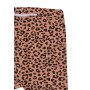 Colanti 1