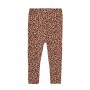 Colanti 2