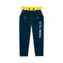 Pantaloni sport tip jogger