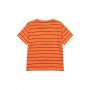 Tricou 2